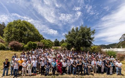 Polo Biobío-Ñuble del CMM posiciona a Chile como referente global en análisis numérico